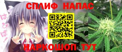 СК Обь