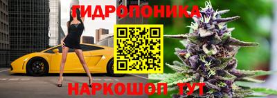 гидропоника Обнинск