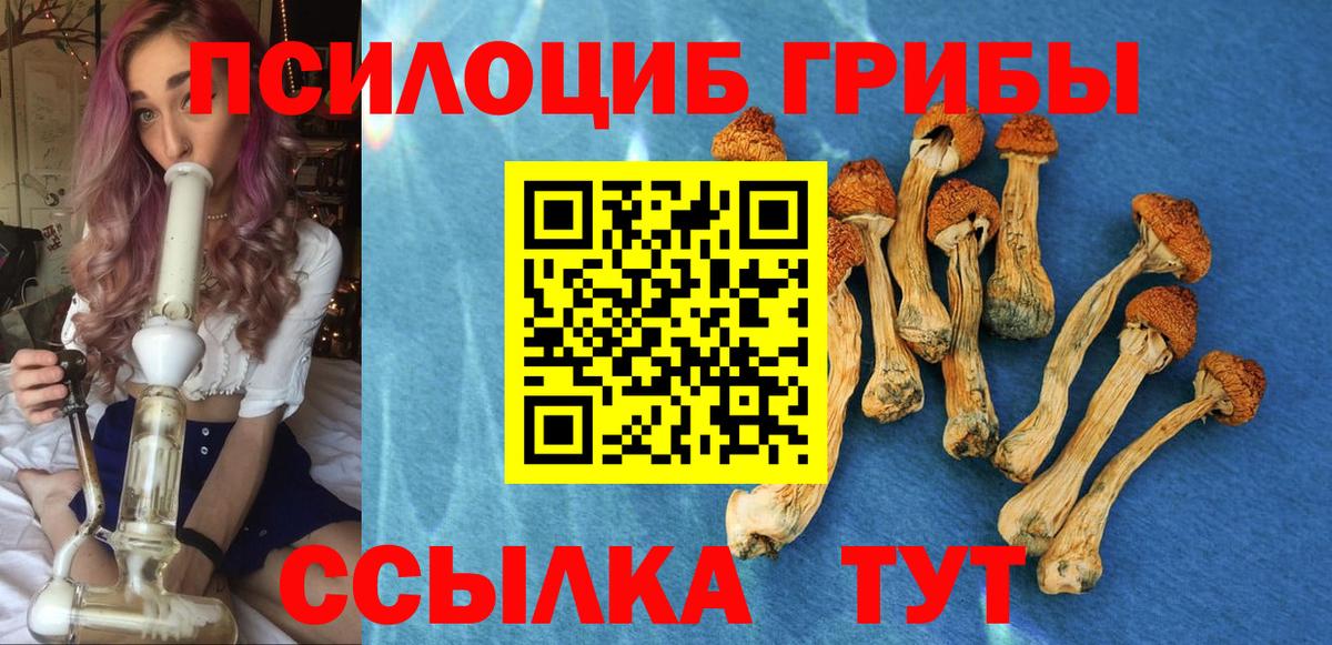 Галлюциногенные грибы GOLDEN TEACHER Таганрог